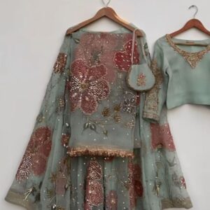 Hand painted organza lehnga