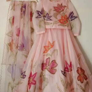 Hand painted Pink organza lehnga